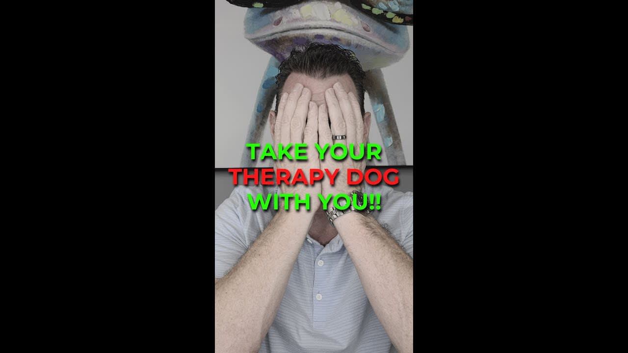 You Can Take Your Therapy Dog With You