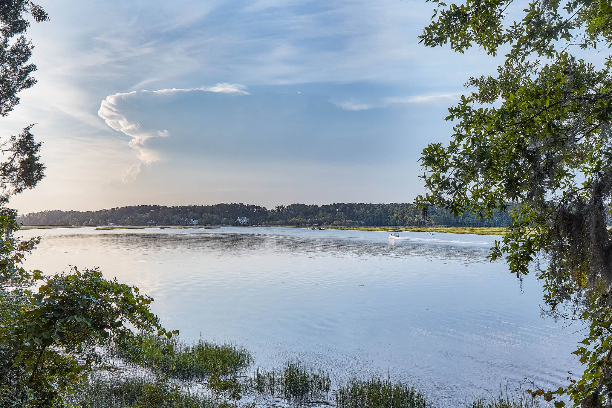 View of the lowcountry wetlands