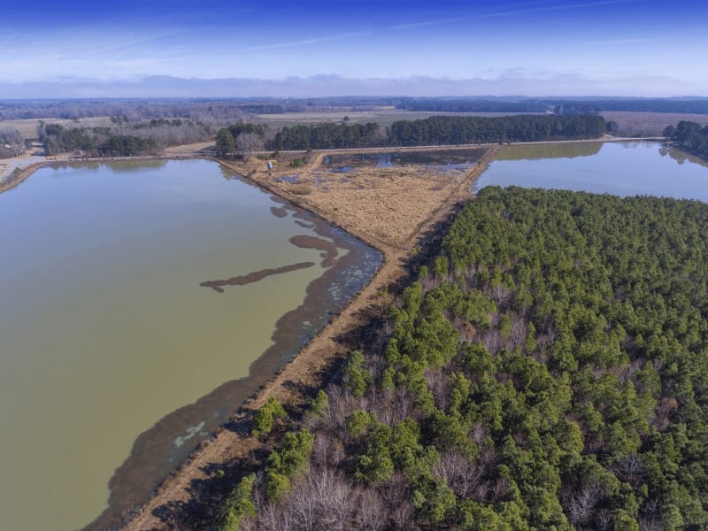 Duck Lease NC Duck Hunting Leases Blog Legacy Farms and Ranches