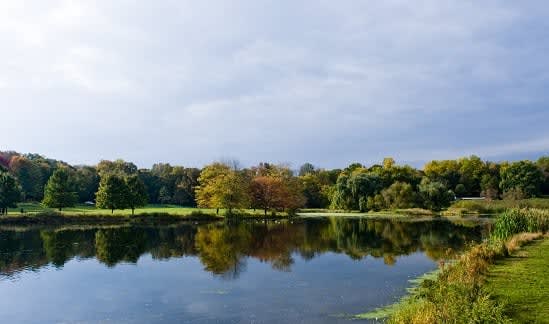 Loantaka Brook Reservation pond