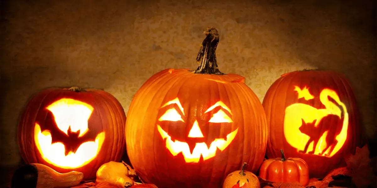The 18 Best Halloween Decorations for Your Home and Yard in 2022 Define Real Estate