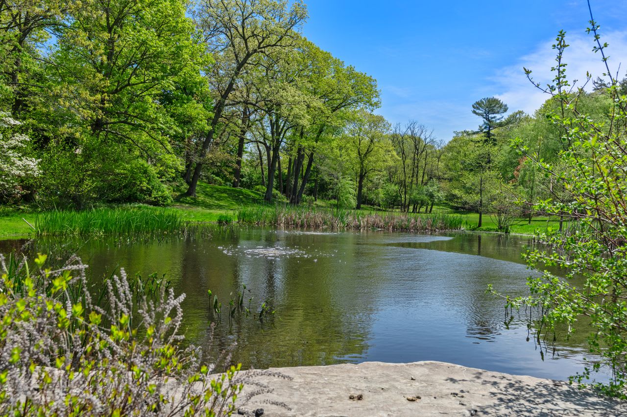 Premier Estate in Brookline