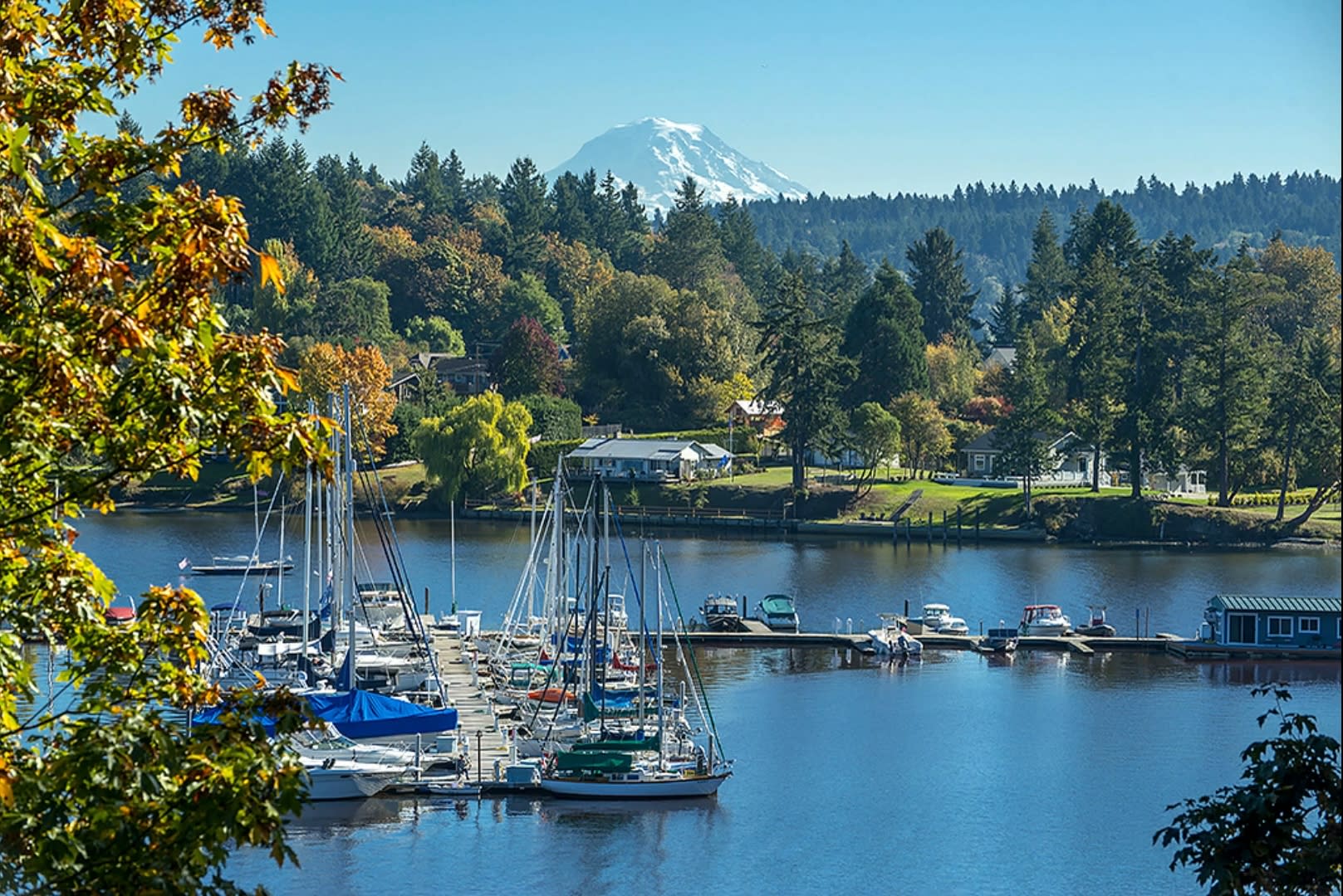 Burton Utopia - Vashon Island