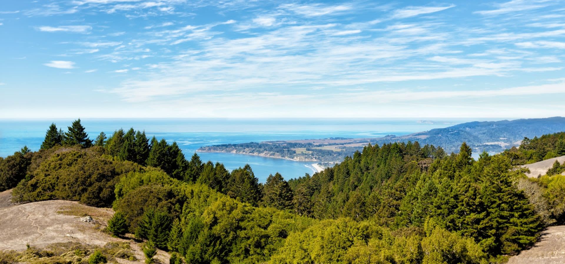 Neighborhood Guides Bolinas Real Estate Terry Donohue