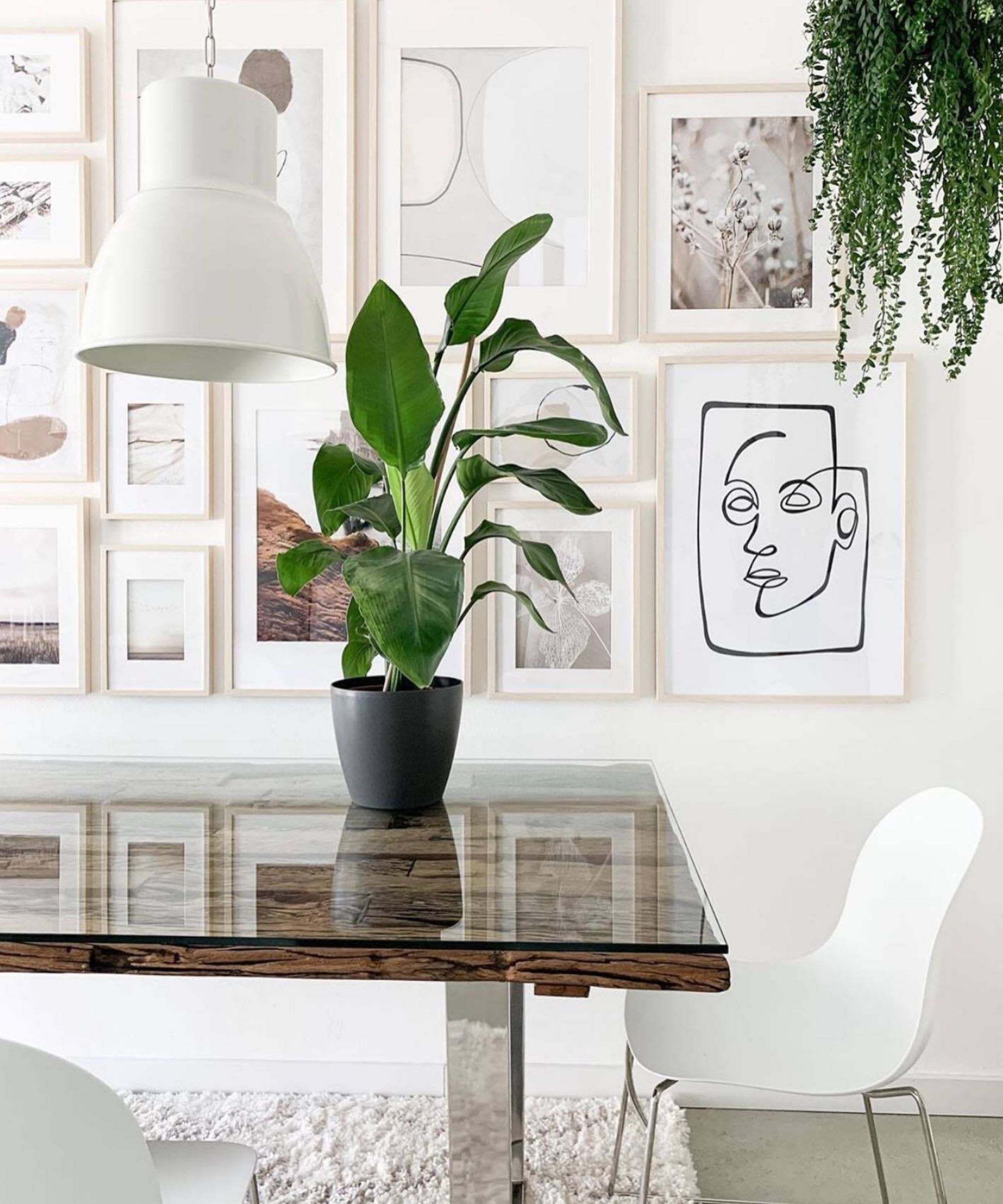 Mary Macpherson | San Francisco Real Estate