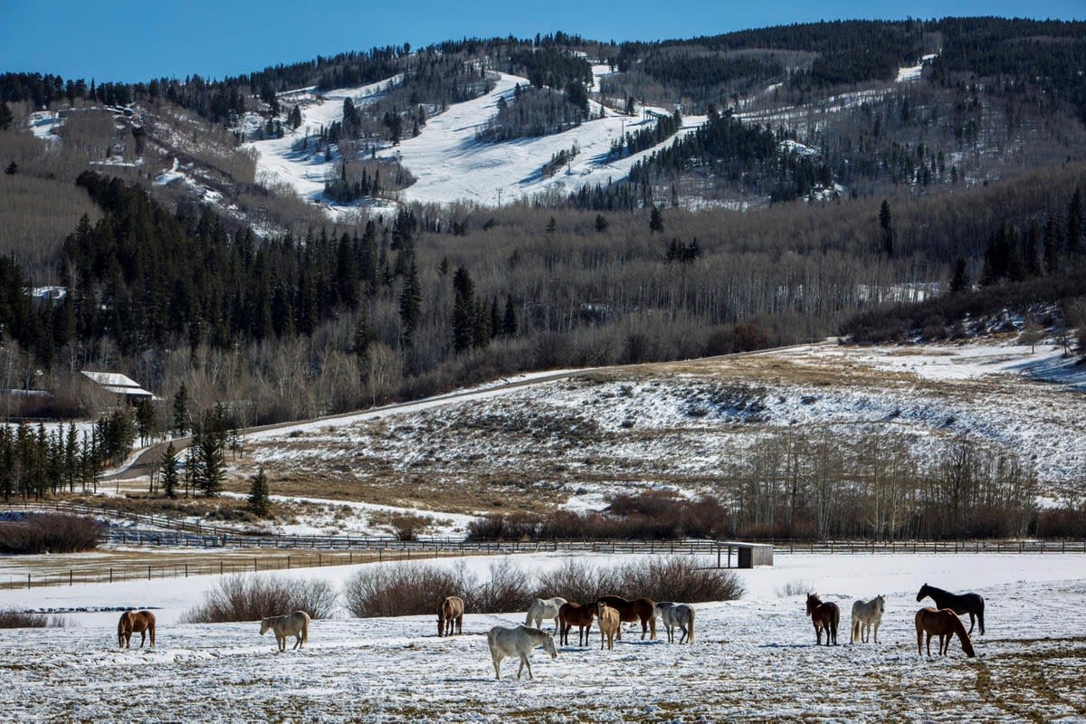 TBD Owl Creek Ranch Road Aspen, CO Saslove and Warwick