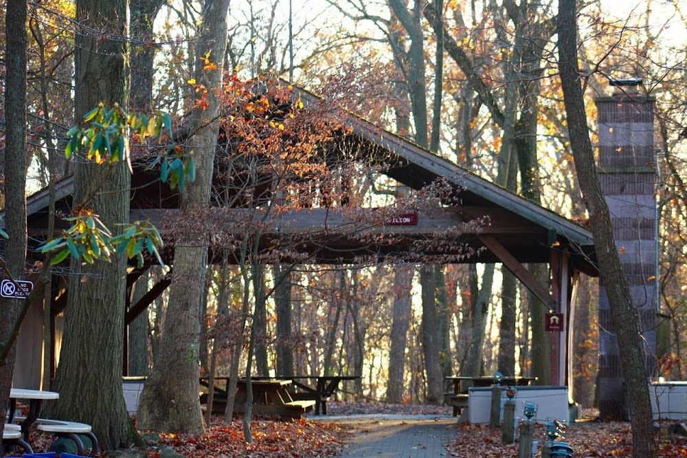 Things to Do in the Summer in Tenafly, NJ Linda Stamker