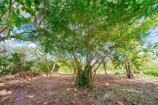 New Listing: 3671 Anini Road, Kilauea