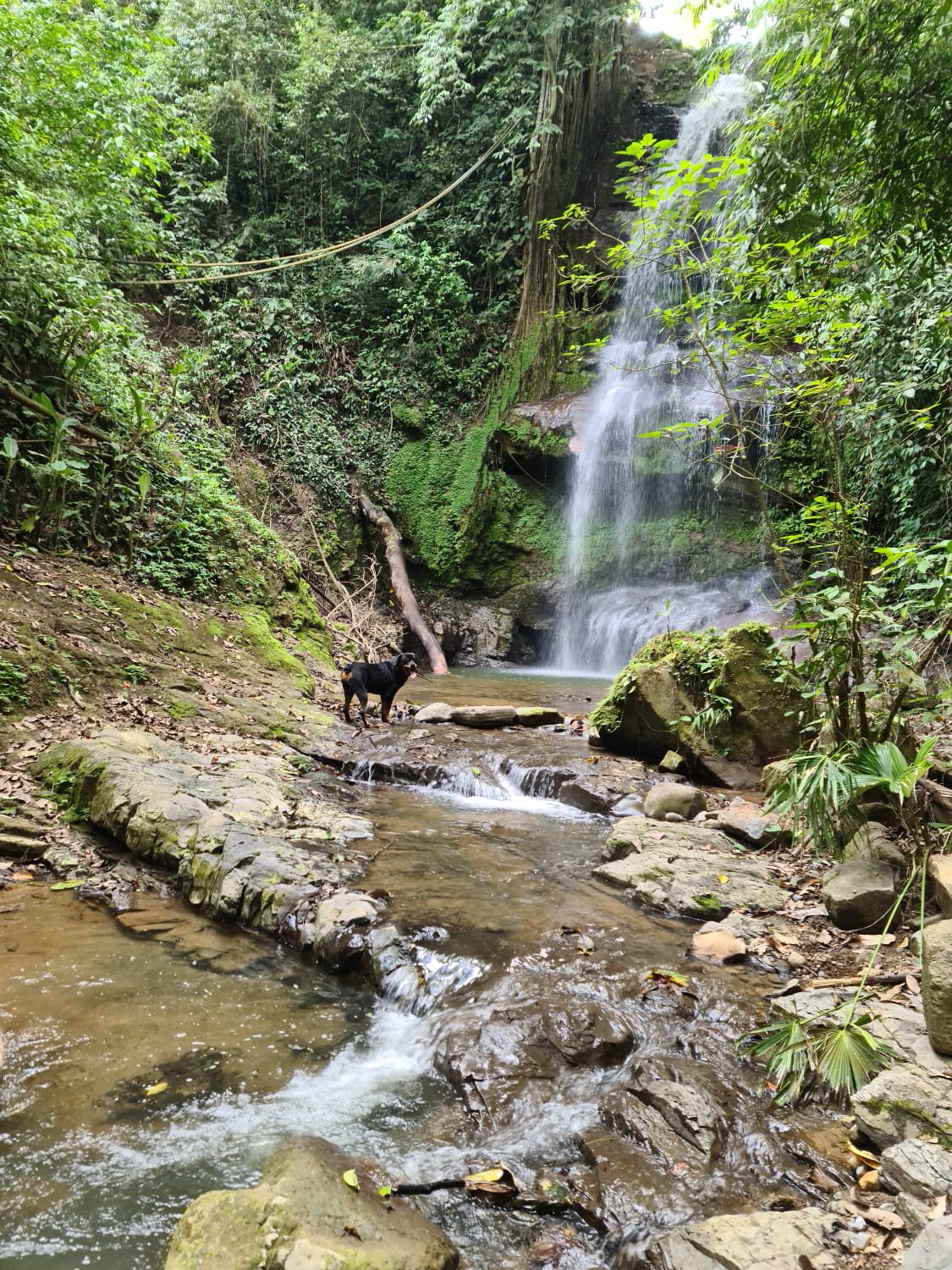 Finca Río General in Santa Luisa