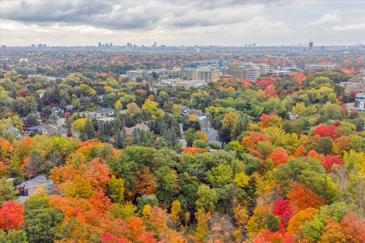 51 McBain Avenue Real Estate Listing Kevin Crigger Real Estate Team