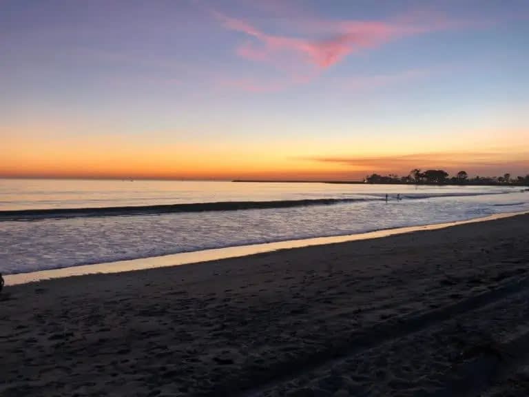 Wide beach and palm trees at Doheny State Beach, Dana Point