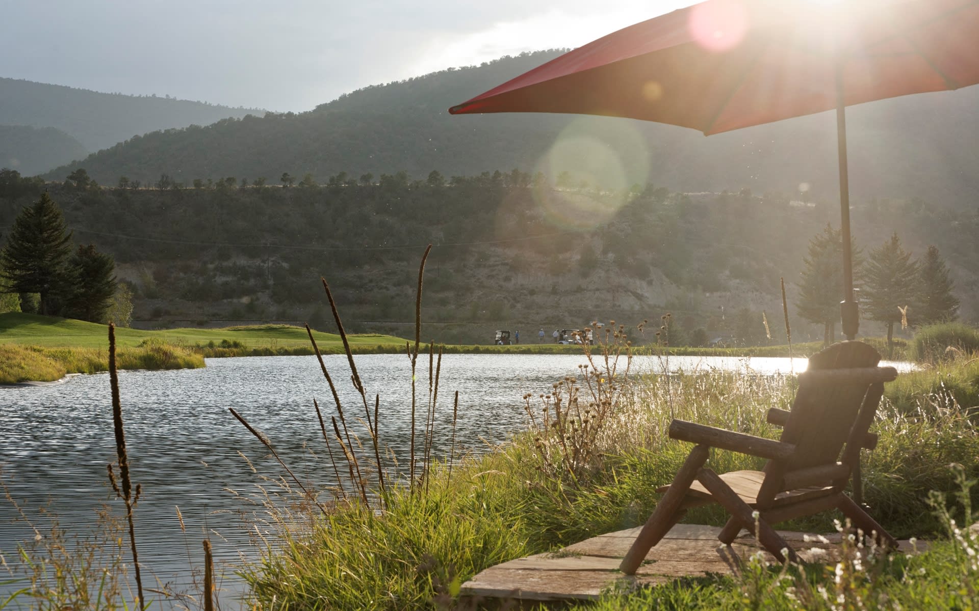 Arleen Ginn Aspen Real Estate Agent