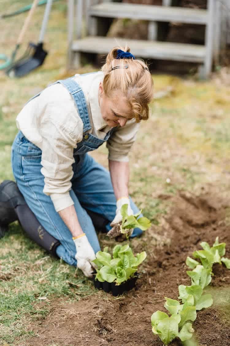 woman backyard gardening
