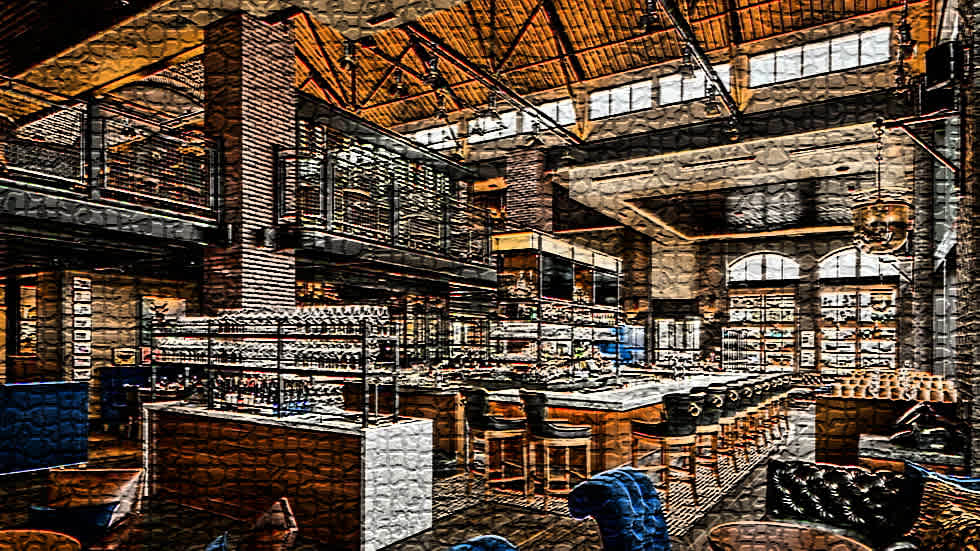 View House Centennial Colorado Rick Janson Luxury Properties