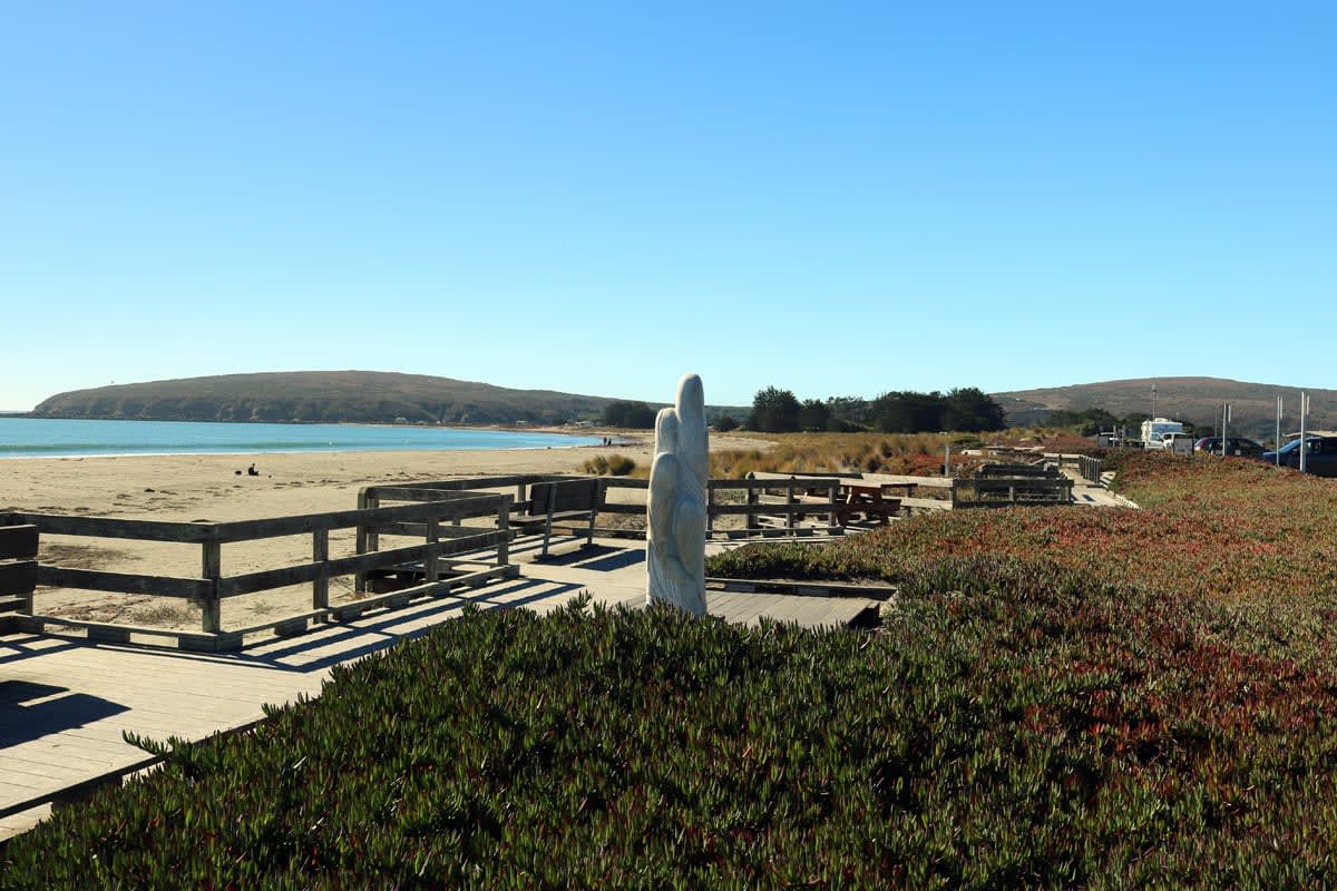 Bodega Bay