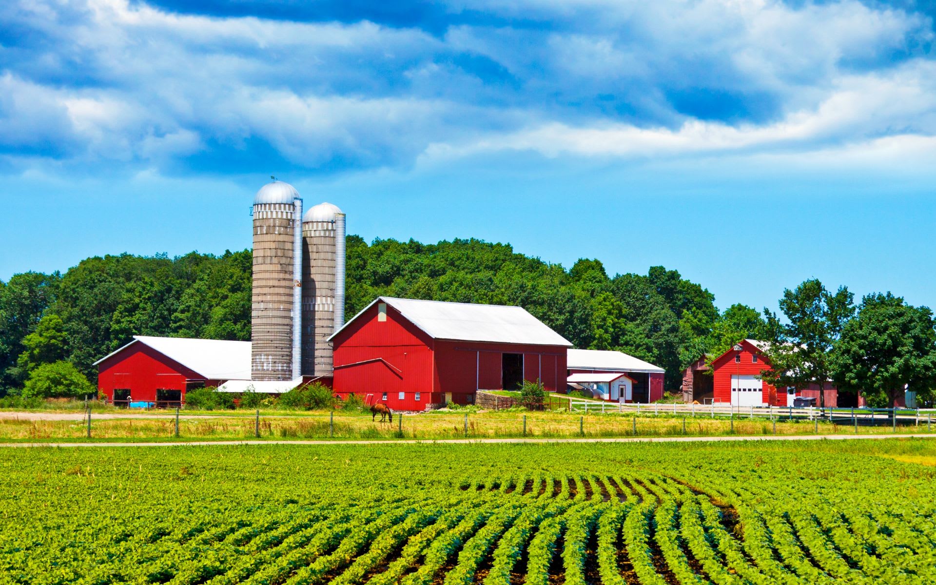 Scandia Homes For Sale Sandy Dewall