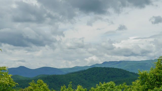 Sutton Knob