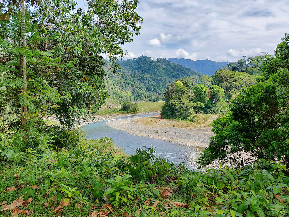 Alma de la Selva, ( Soul of the Forest ) 777 Acre Ocean View Ranch