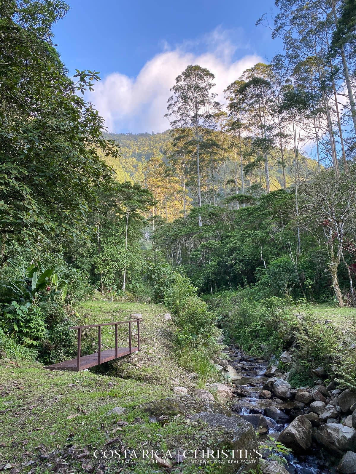 Magnificent Estate with River and Waterfall - Tierra Serena