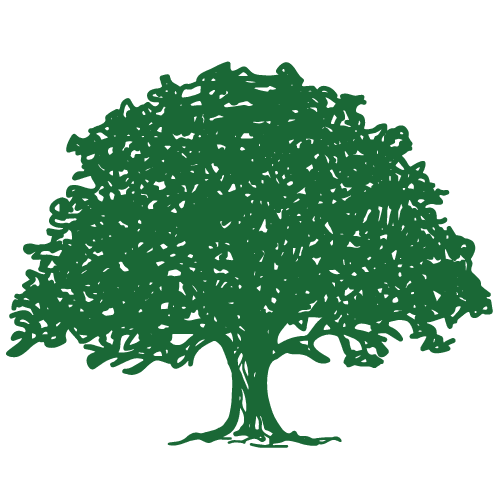 Explore Prime Real Estate in Jonesboro Live Oak Real Estate