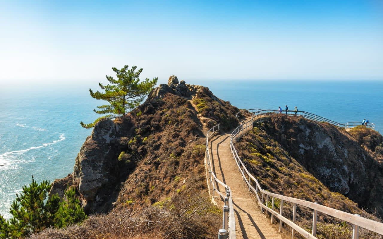 The Ciullo Group Advantage | Alexander Ciullo & Associates