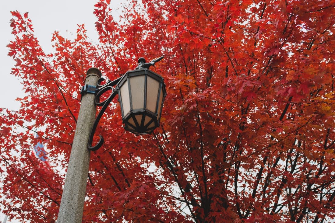 Neighborhood Lake Forest