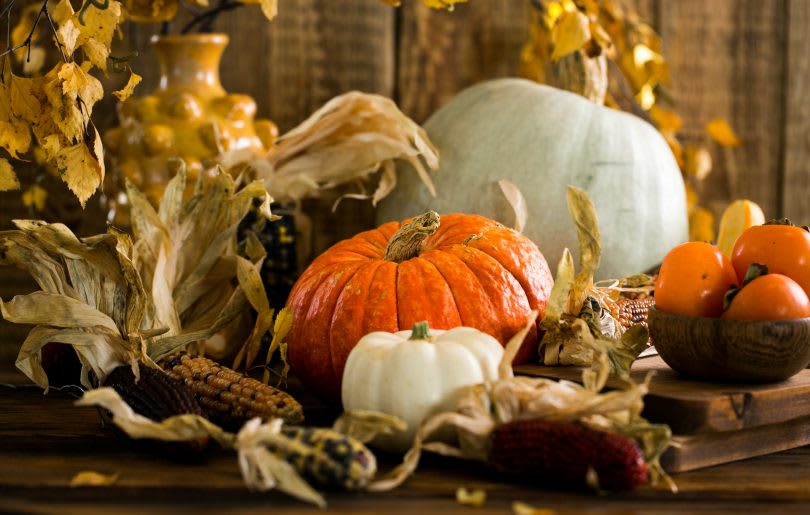 Fall Decor for Your Sugarmill Woods Home