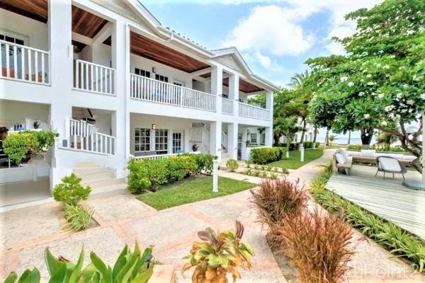 The Seahorse Reef House at Alaia Belize - A Marriott Autograph Collection®