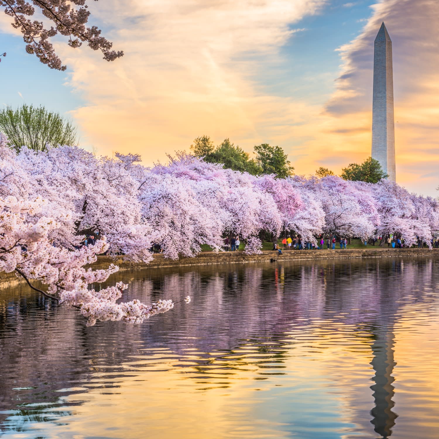 Communities | Rob Carter Group | Washington DC Real Estate