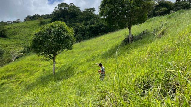 Riverfront Ranch Above Uvita With Waterfalls, and Ocean Views