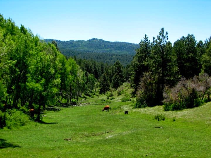 Southern Colorado Riverfront Mountain Ranch