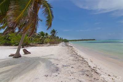 14.88 Acres Beachfront Subdivision on Belize's Southern Coastline