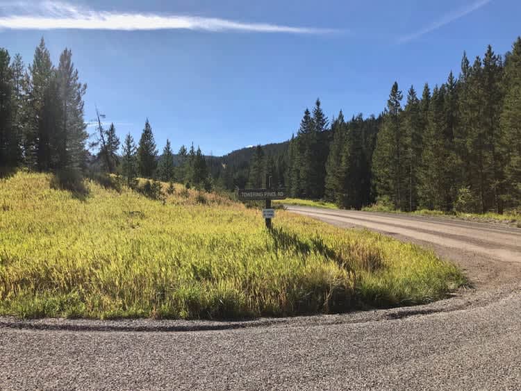 Towering Pines, Big Sky, Montana Discover Big Sky