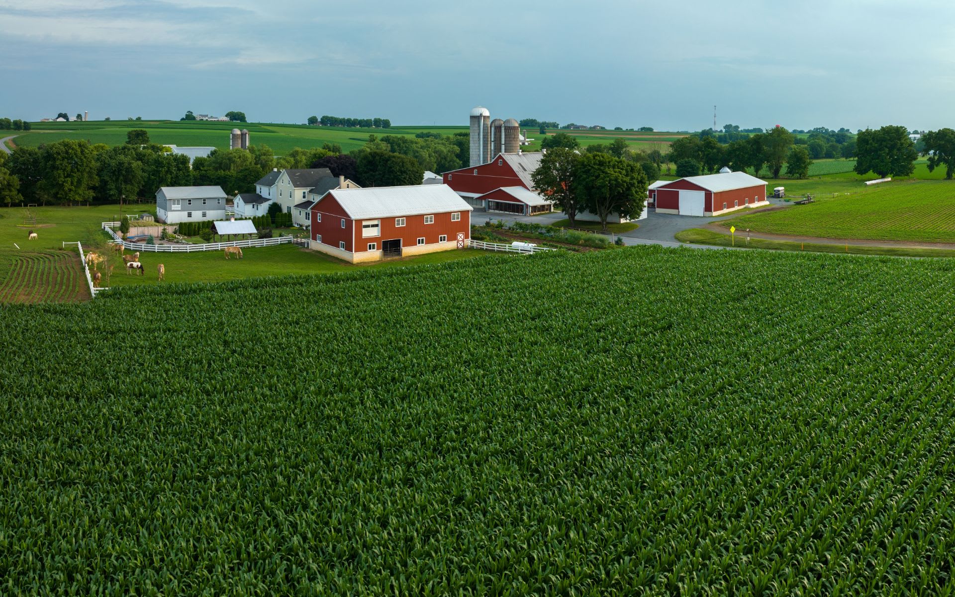 Lancaster, PA Real Estate & Homes for Sale Michael Orta