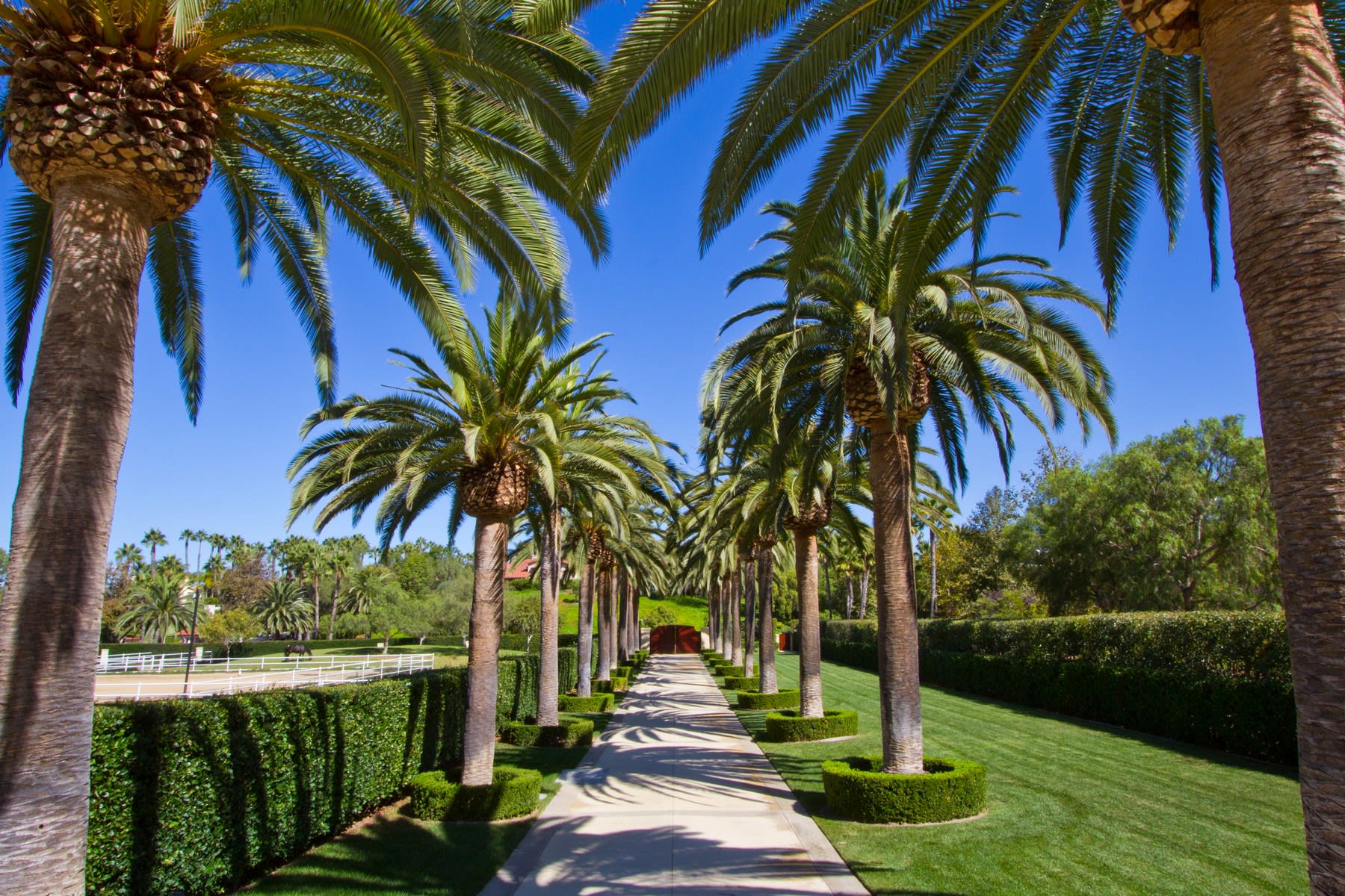 Rancho Santa Fe Community Guide Sue De Legge and Gina De LeggeHabchi