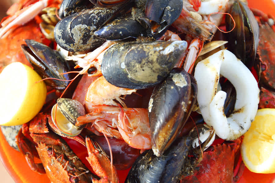 Top Chef Bob Waggoner Spills Secrets of Lowcountry Cuisine