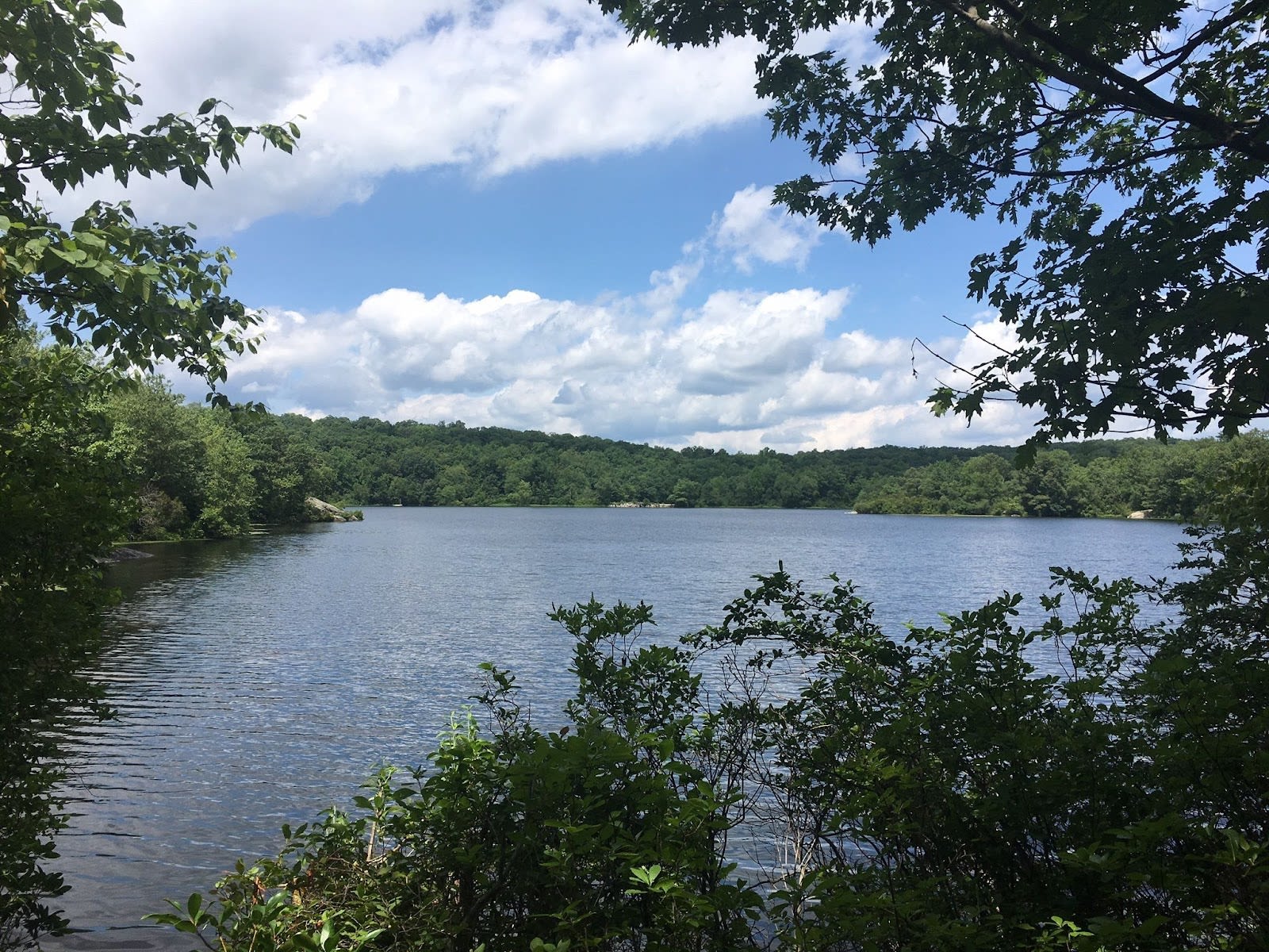 Ramapo Mountain State Forest