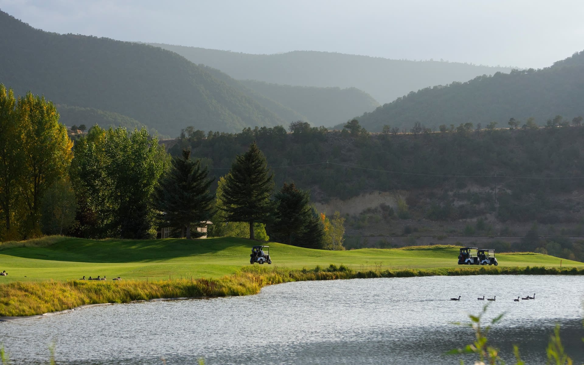 Arleen Ginn Aspen Real Estate Agent