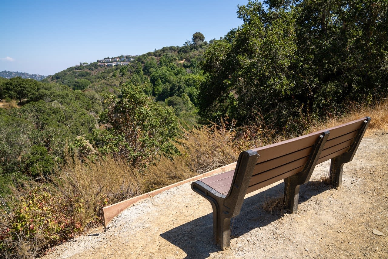 Exploring Nature's Canvas Top Wildflower Hikes in the Mid Peninsula 