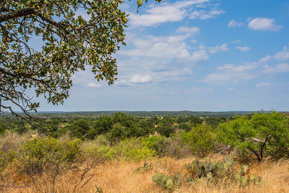 Dog Tick Ranch