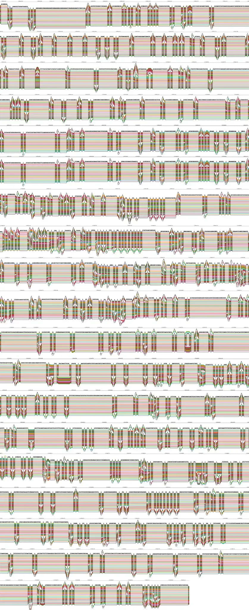 Scientists Unveil a More Diverse Human Genome