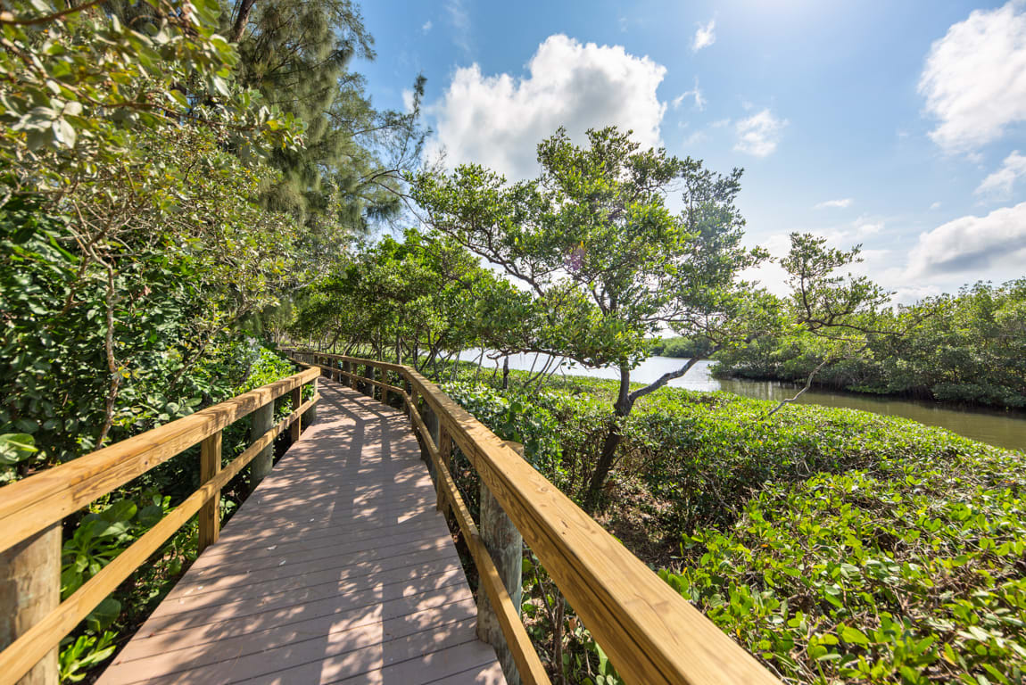 Pelican Cove