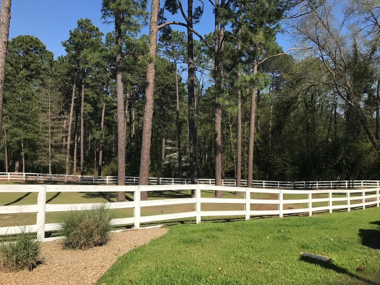 A serene field with a white fence evokes a peaceful atmosphere.