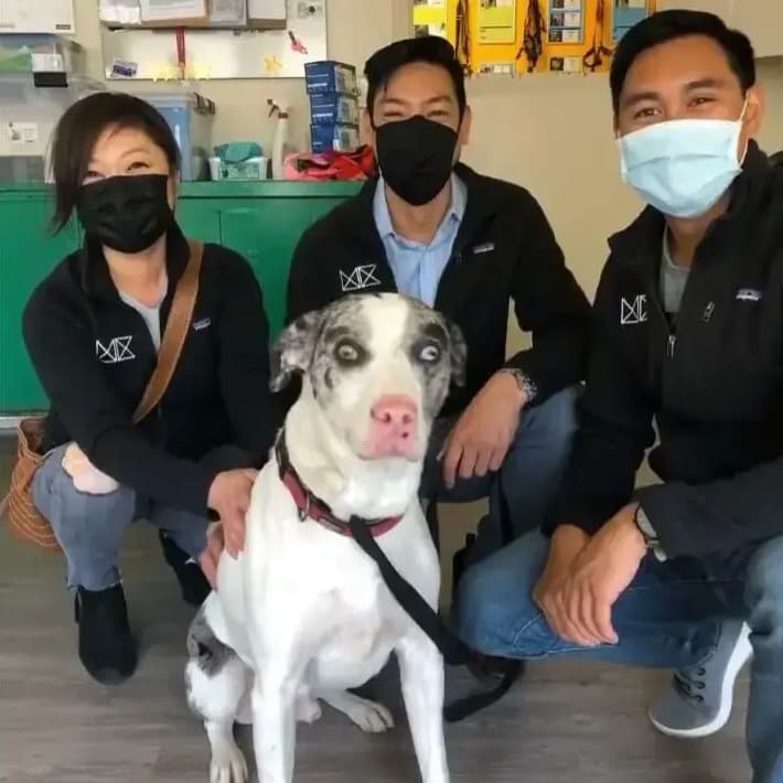 SF New Deal Volunteers!