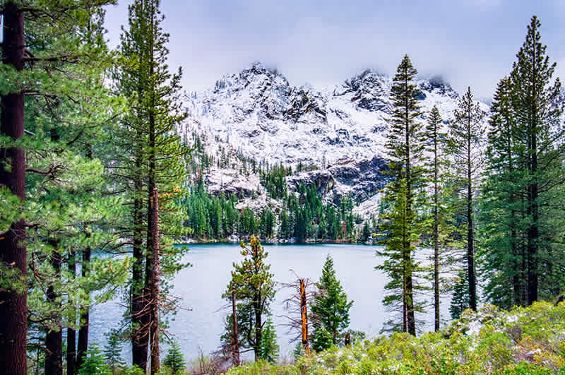 Copy of NV Ball Real Estate Group Reno Real Estate Experts