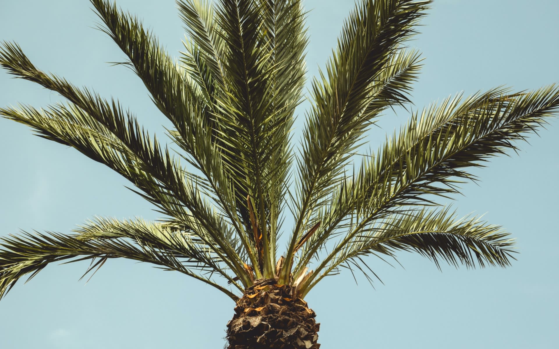 Coconut Grove, FL Real Estate & Homes For Sale Ben Moss Group