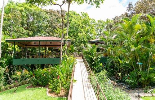 6 Beautiful Tree House Villas and Owners Home on Calle Toucan