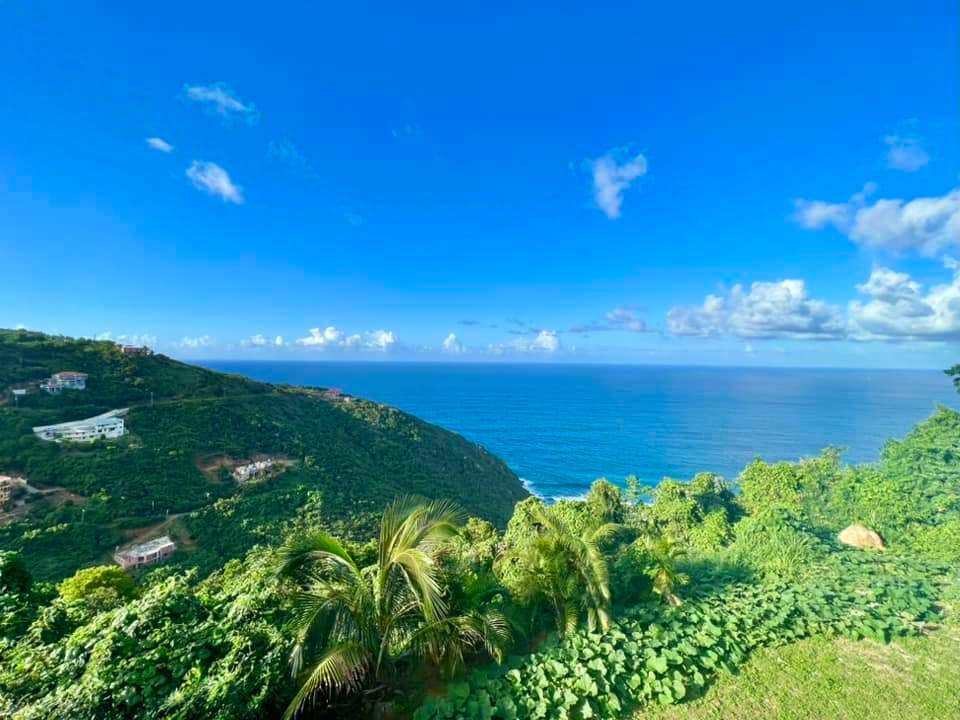 408 Spooners Estate 1 Bedroom Luxury Properties BVI Tortola Real