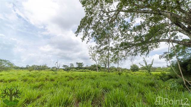 Over 8400 Feet of Stunning River Frontage on the Historic Landmark Sibun River