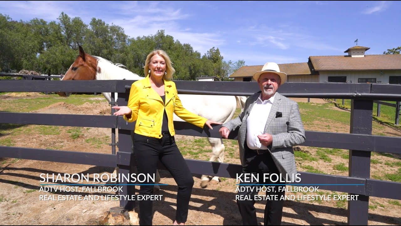 Ken Follis & Sharon Robinson American Dream TV Segment 2